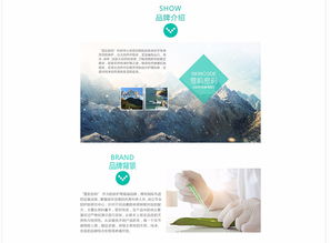 阿童木 企業網站 武漢網站建設 網站設計 商城開發 微信小程序開發 武漢金百瑞科技