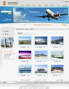 西部機場集團 咨詢 旅游 生活 醫療 企業宣傳 案例展示 硅峰網絡 網站設計 軟件開發 微信建設,西安最專業的企業信息化建設網絡公司
